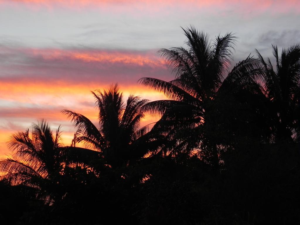 Fare Arana Moorea Guesthouse Atiha Kültér fotó
